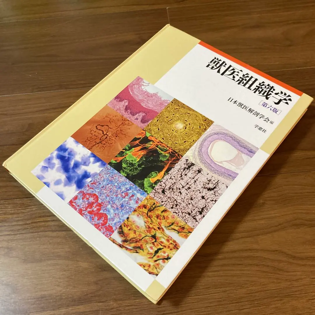 2026年最新】獣医組織学 第9版の人気アイテム - メルカリ