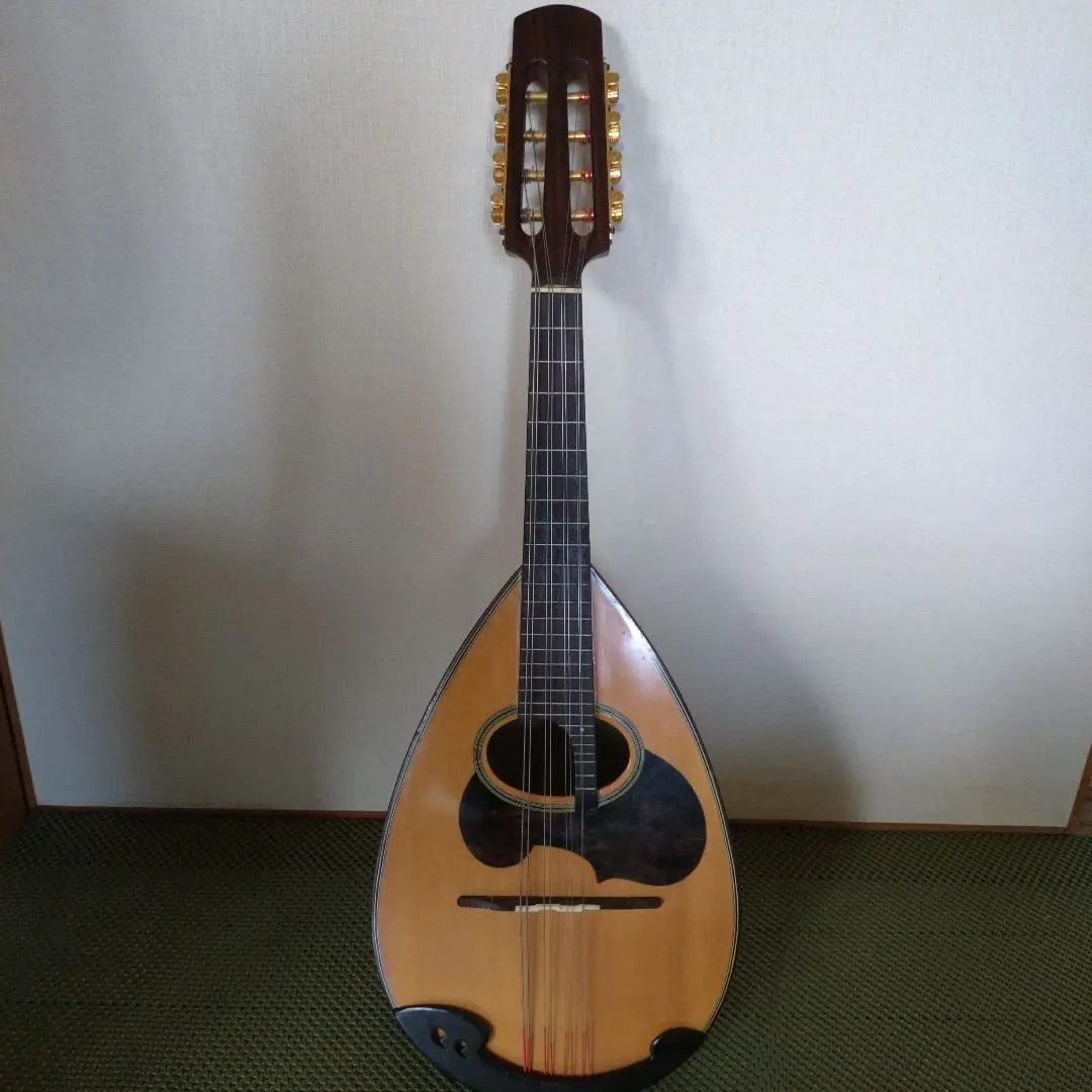 2026年最新】マンドリンM-60の人気アイテム - メルカリ