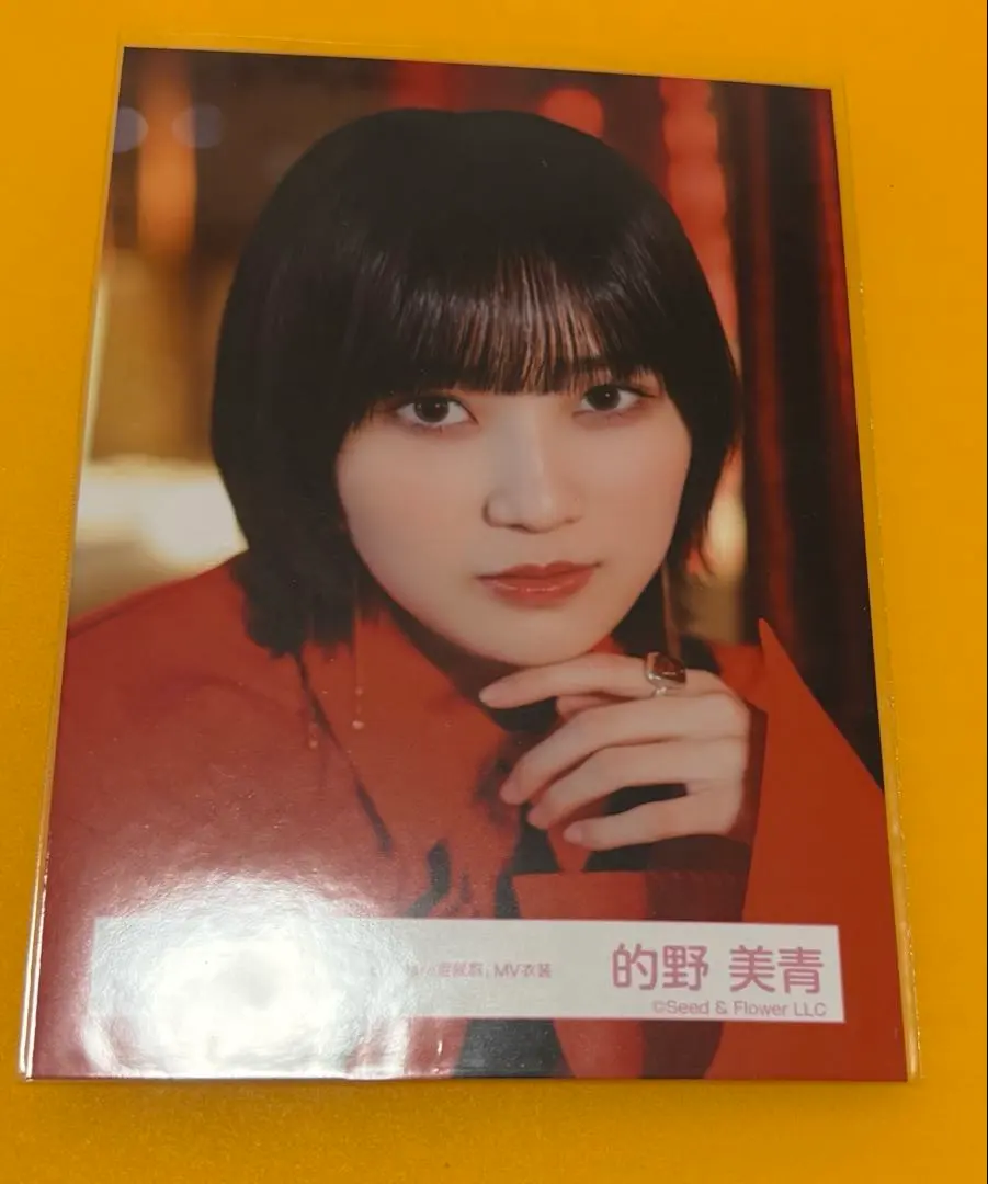 2026年最新】的野美青 生写真 nightmareの人気アイテム - メルカリ