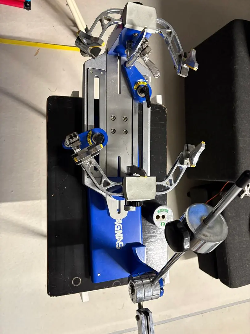 2026年最新】イグナス ガットの人気アイテム - メルカリ