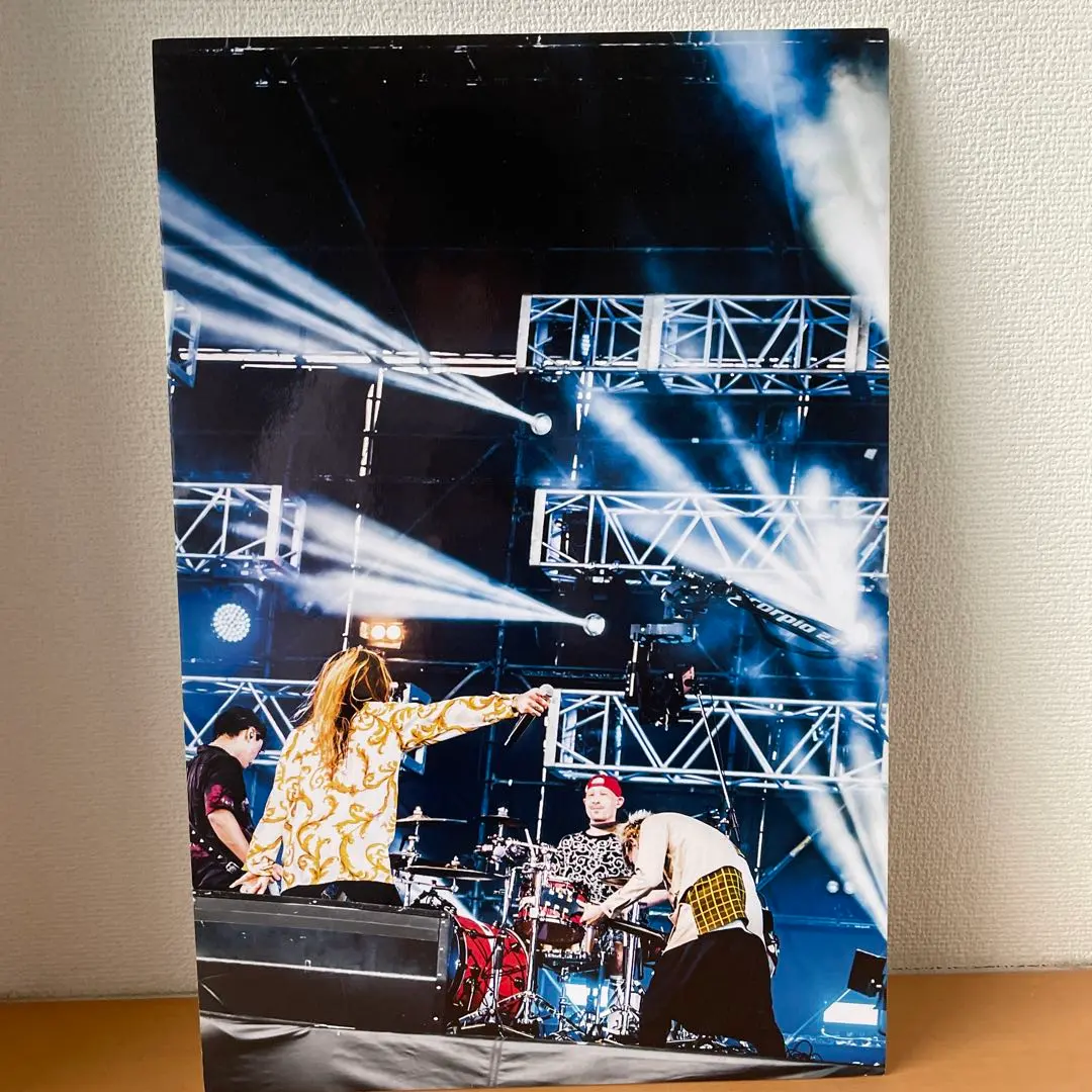 2026年最新】SuperBeaver パネルの人気アイテム - メルカリ