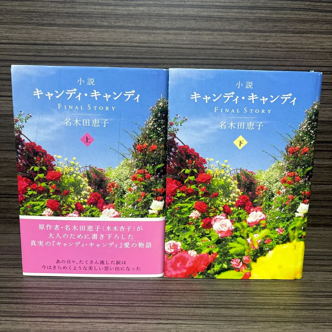 2026年最新】小説キャンディ・キャンディ 名木田恵子の人気アイテム
