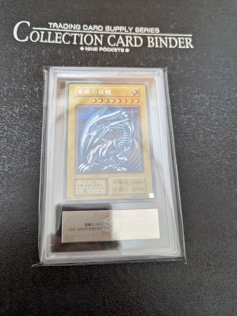 m38201971445_1.jpg?1771233836