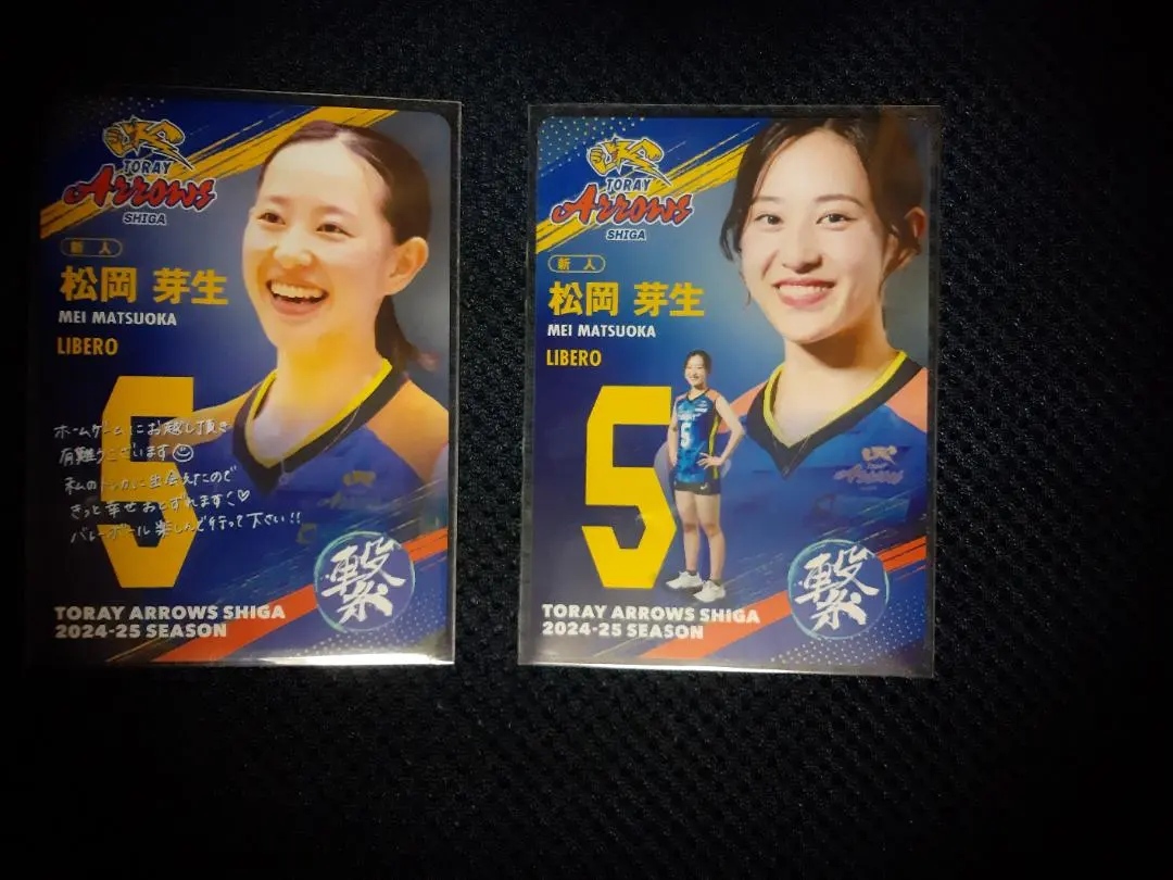 2026年最新】東レアローズ女子の人気アイテム - メルカリ