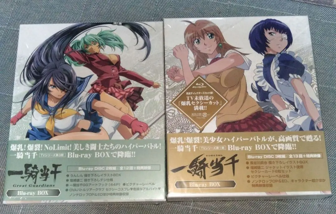 2026年最新】一騎当千 1期 DVDの人気アイテム - メルカリ