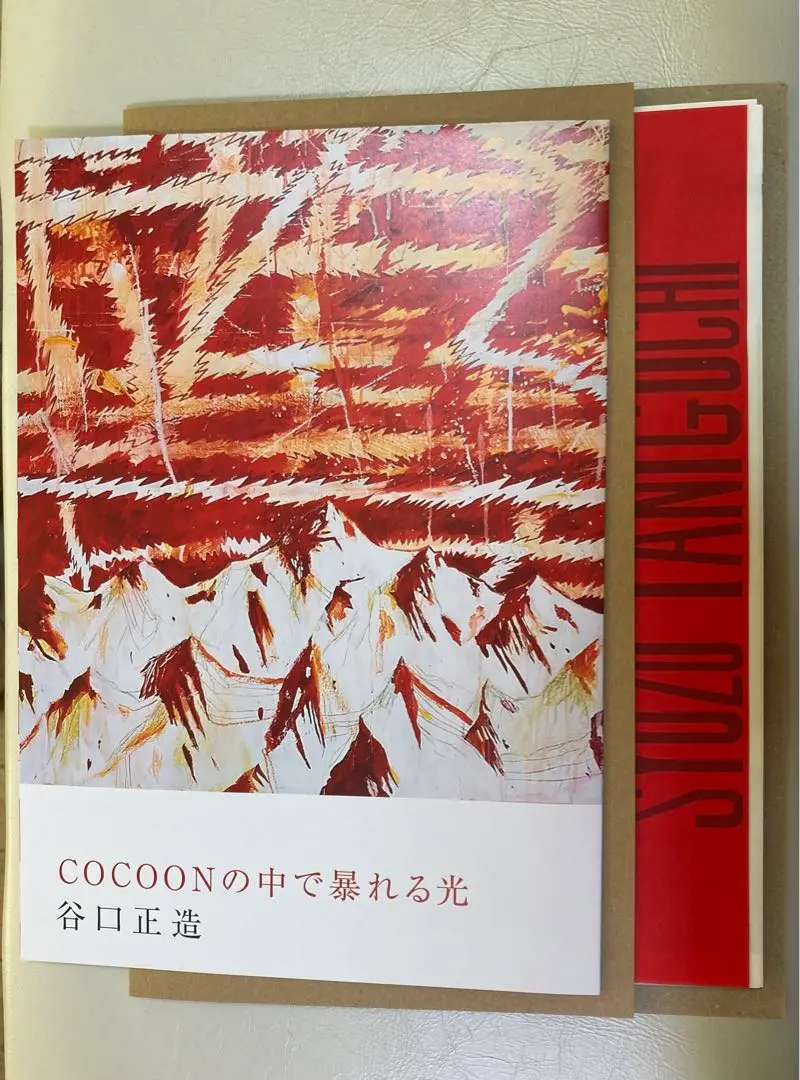 2026年最新】谷口正造の人気アイテム - メルカリ