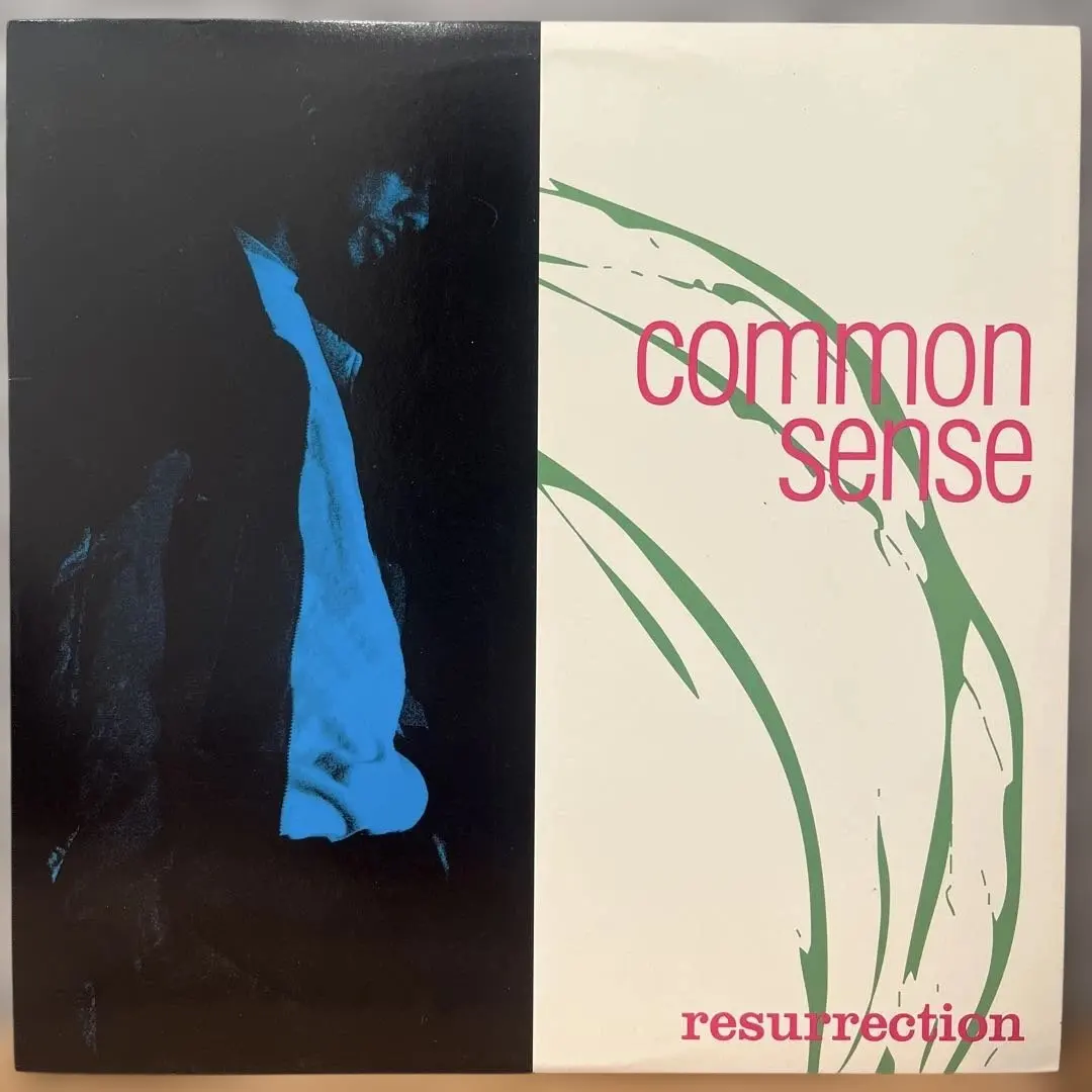 2026年最新】common resurrectionの人気アイテム - メルカリ