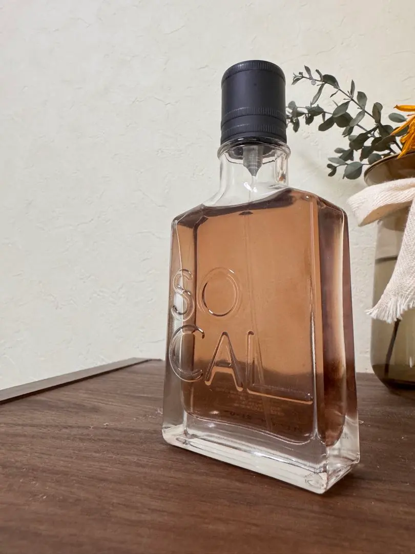 2026年最新】ホリスター HOLLISTER SOCALの人気アイテム - メルカリ