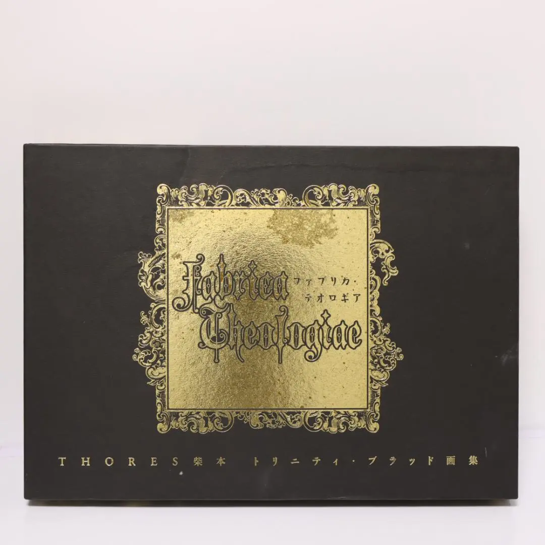 2026年最新】トリニティ ブラッド 画集の人気アイテム - メルカリ