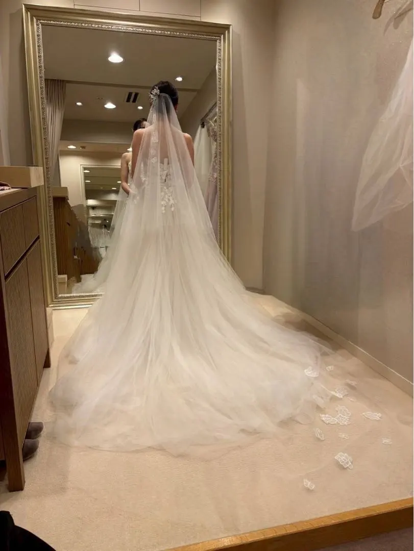 2026年最新】トリートドレッシング ベール 蝶の人気アイテム - メルカリ