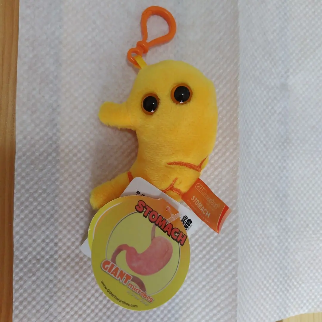 2026年最新】ジャイアントマイクロブスの人気アイテム - メルカリ