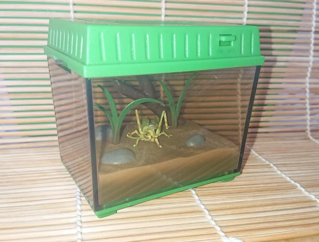 2026年最新】虫かごギャラリーの人気アイテム - メルカリ