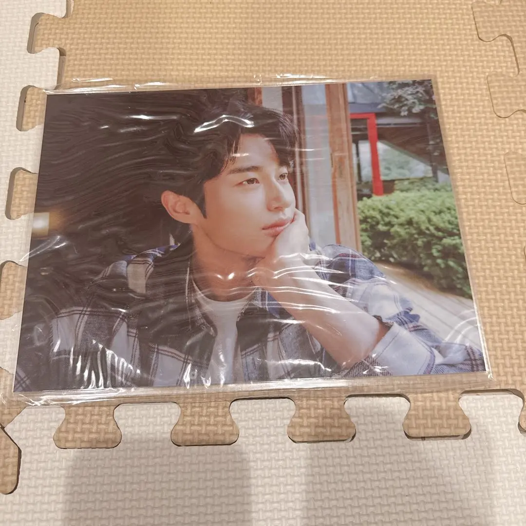 2026年最新】ピョンウソク シーグリの人気アイテム - メルカリ