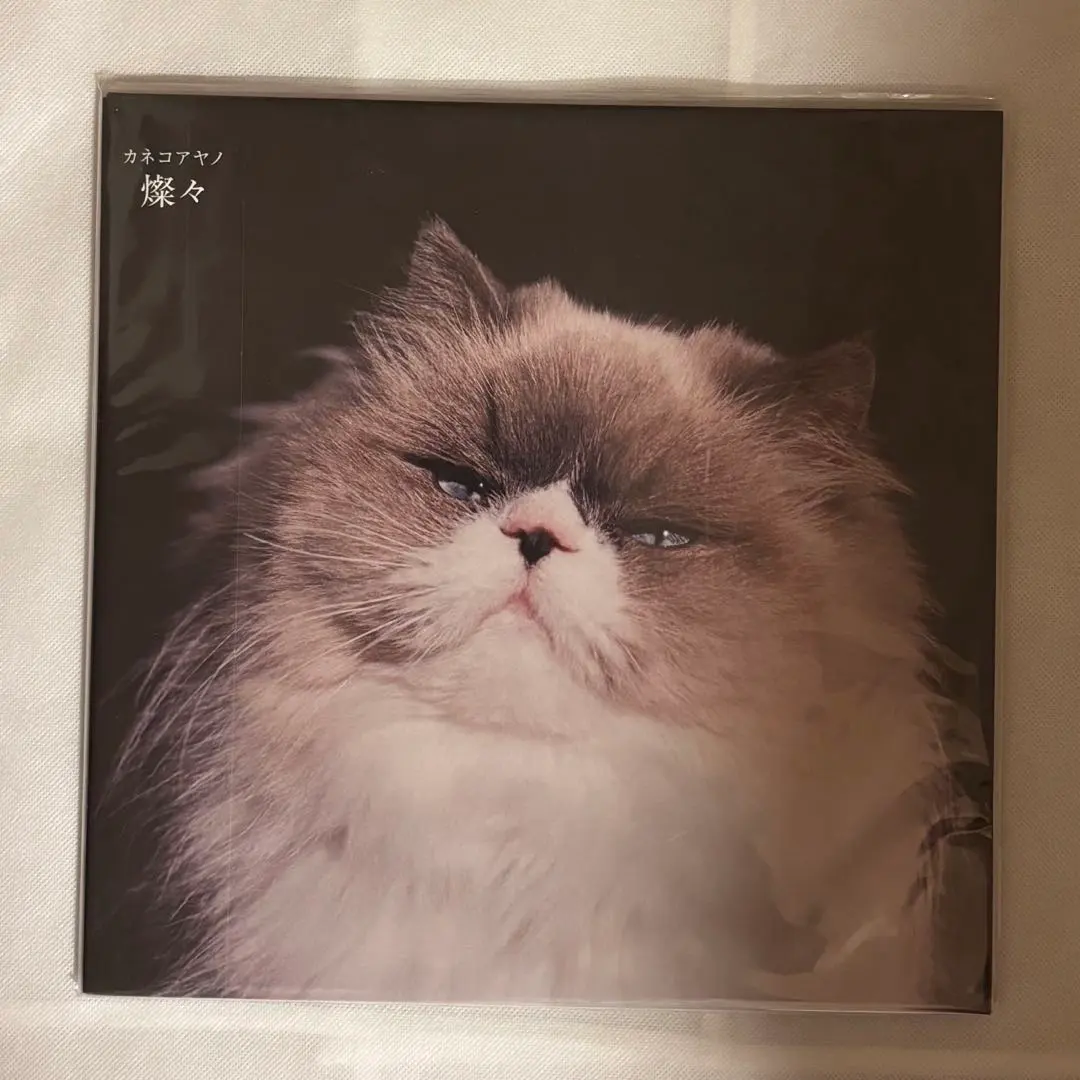 2026年最新】カネコアヤノ 燦々 レコードの人気アイテム - メルカリ