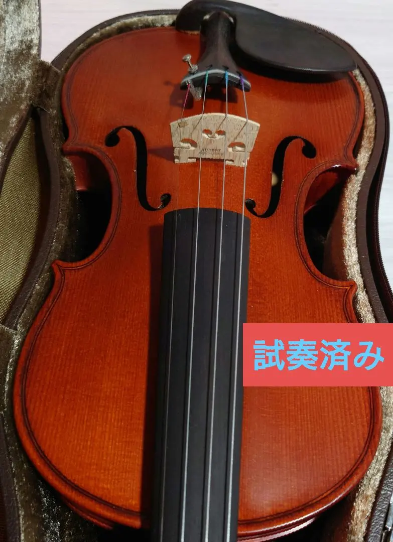 2026年最新】gliga バイオリンの人気アイテム - メルカリ