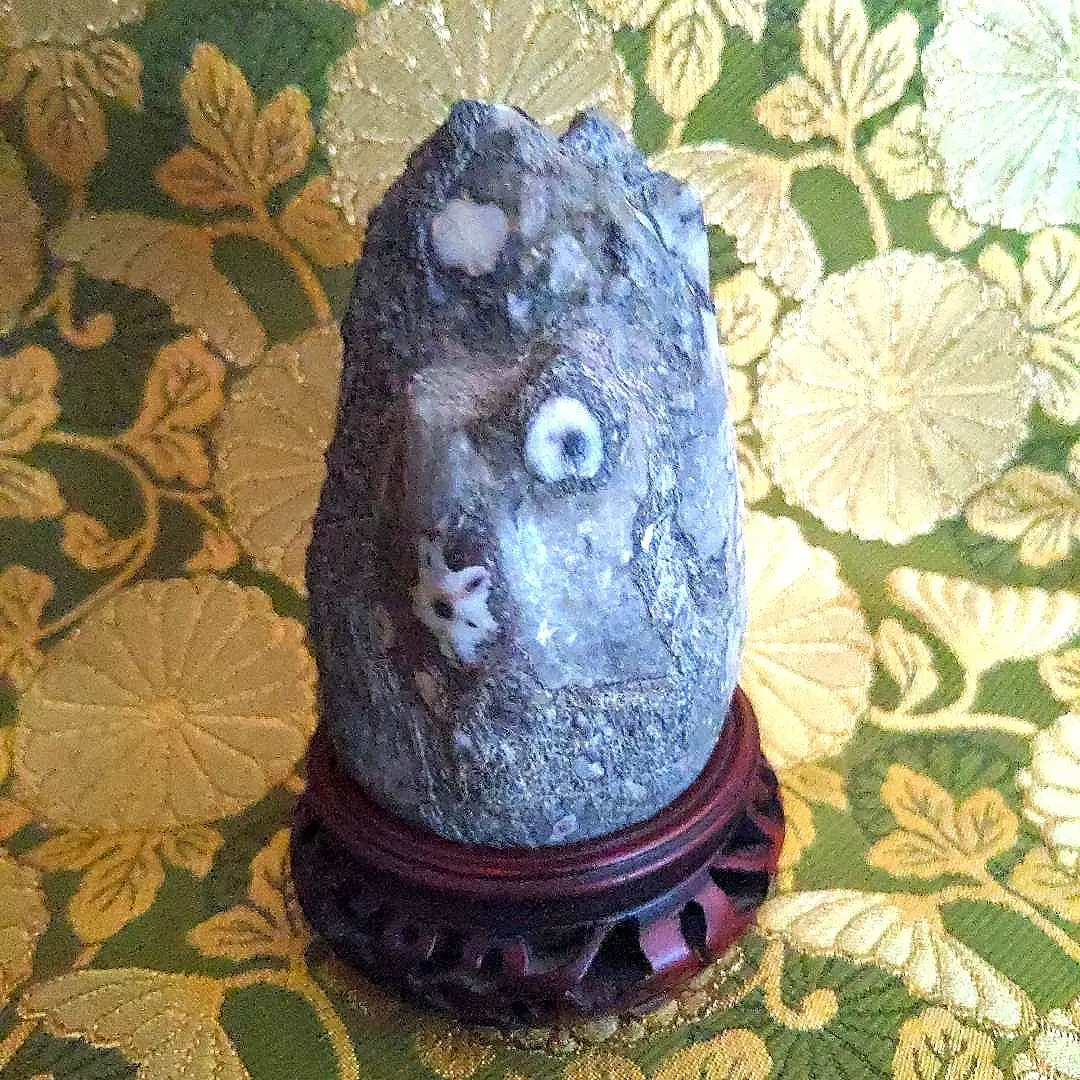 2026年最新】梅花石 門司の人気アイテム - メルカリ