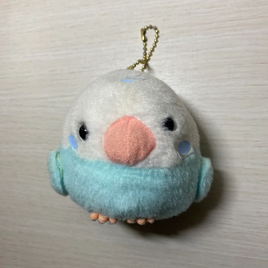 2026年最新】ことり隊 インコの人気アイテム - メルカリ