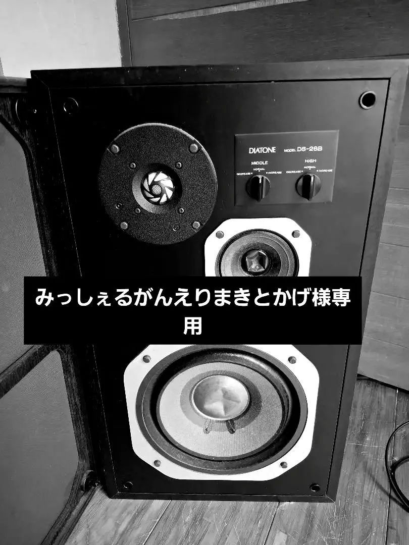 2026年最新】DIATONE ds-1000の人気アイテム - メルカリ