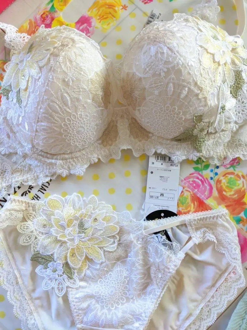 2026年最新】ワコール サルート 中国音楽の人気アイテム - メルカリ