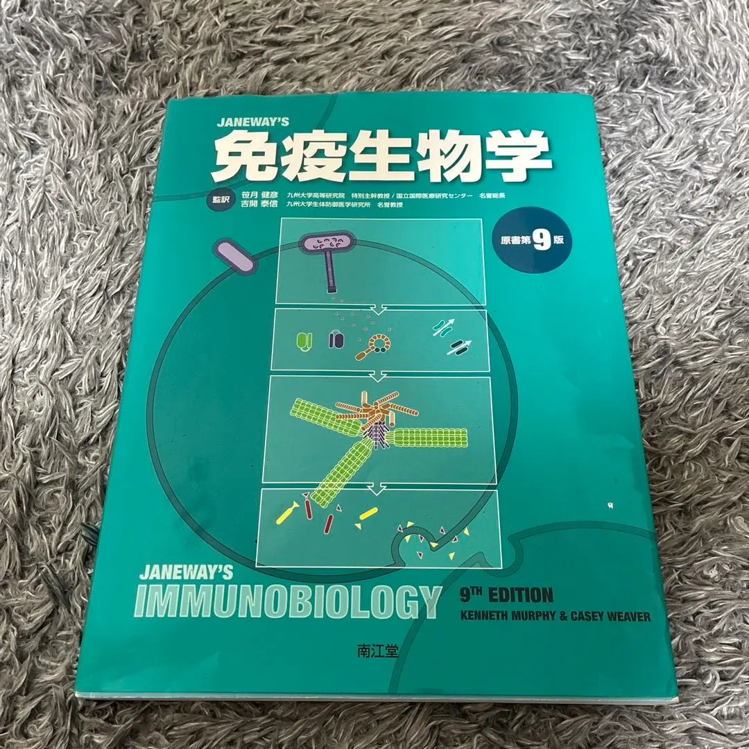 2026年最新】免疫生物学 9版の人気アイテム - メルカリ