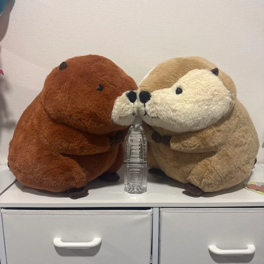 2026年最新】むっちりビーバーたっちウルトラBIGの人気アイテム - メルカリ