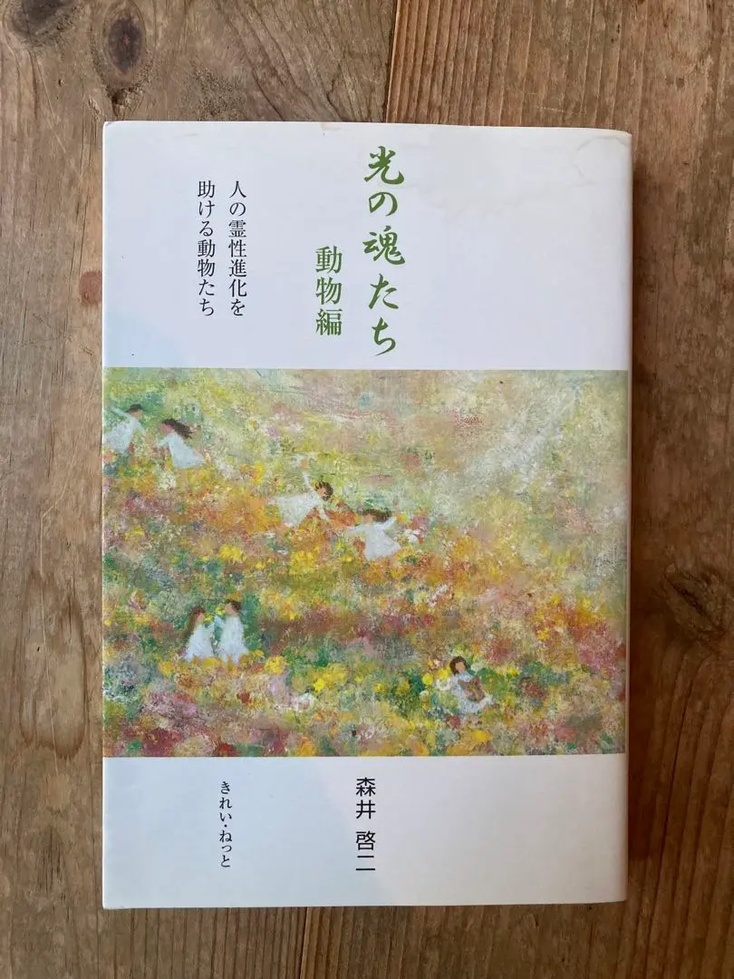 2026年最新】光の魂たち_動物編の人気アイテム - メルカリ