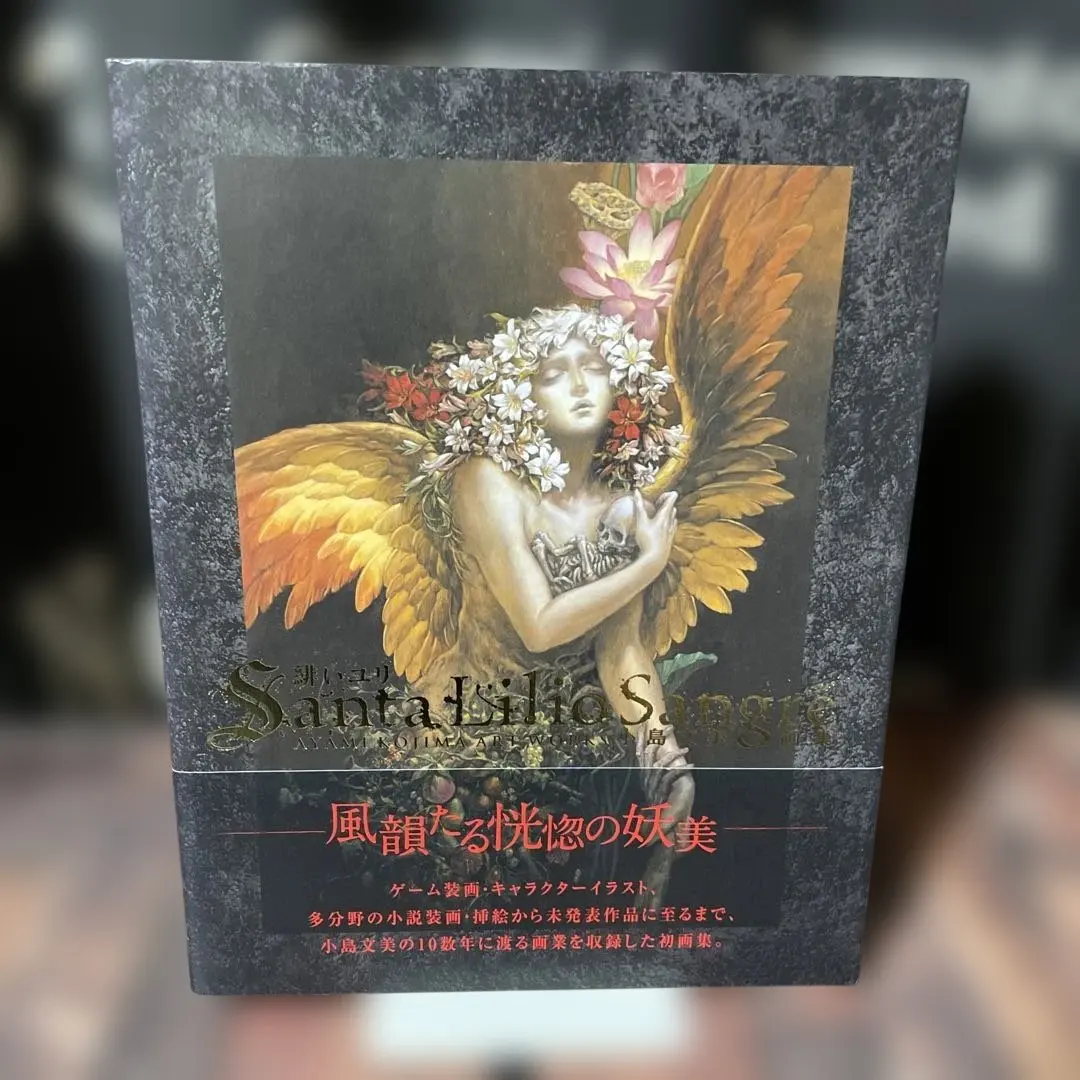 2026年最新】緋いユリ 小島文美画集の人気アイテム - メルカリ