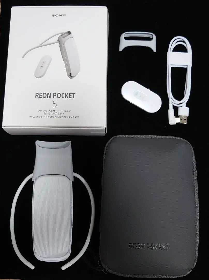 2026年最新】レオンポケット5 ケースの人気アイテム - メルカリ