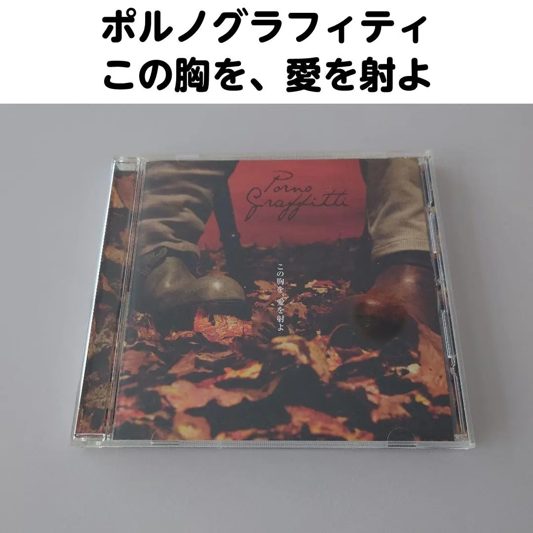 2026年最新】ポルノグラフィティCOMPLETE CLIPSの人気アイテム - メルカリ