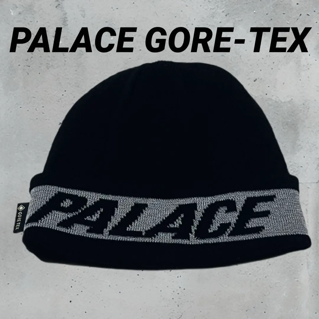 2026年最新】palace gore-tex capの人気アイテム - メルカリ
