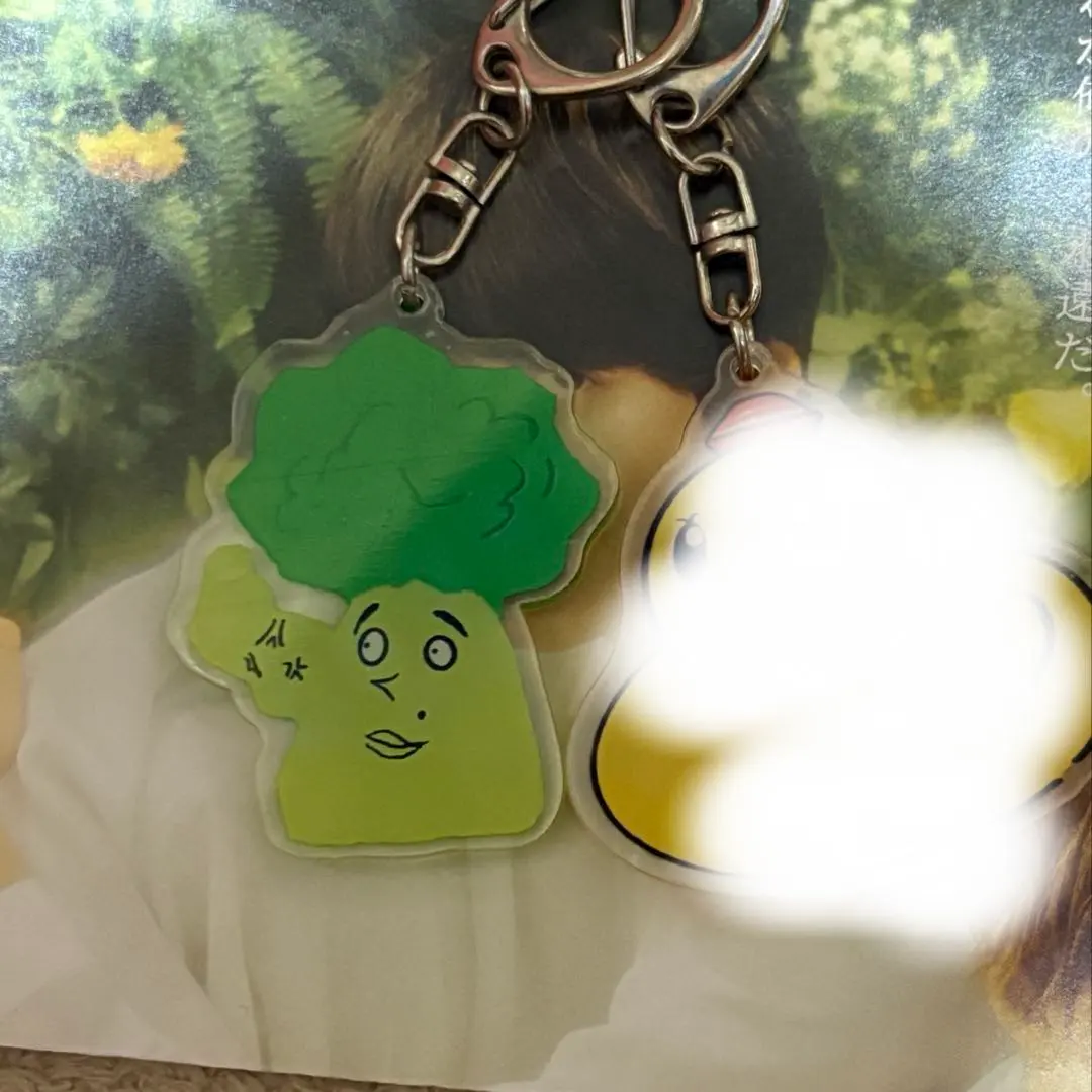 2026年最新】ヤギッコリー パスケースの人気アイテム - メルカリ