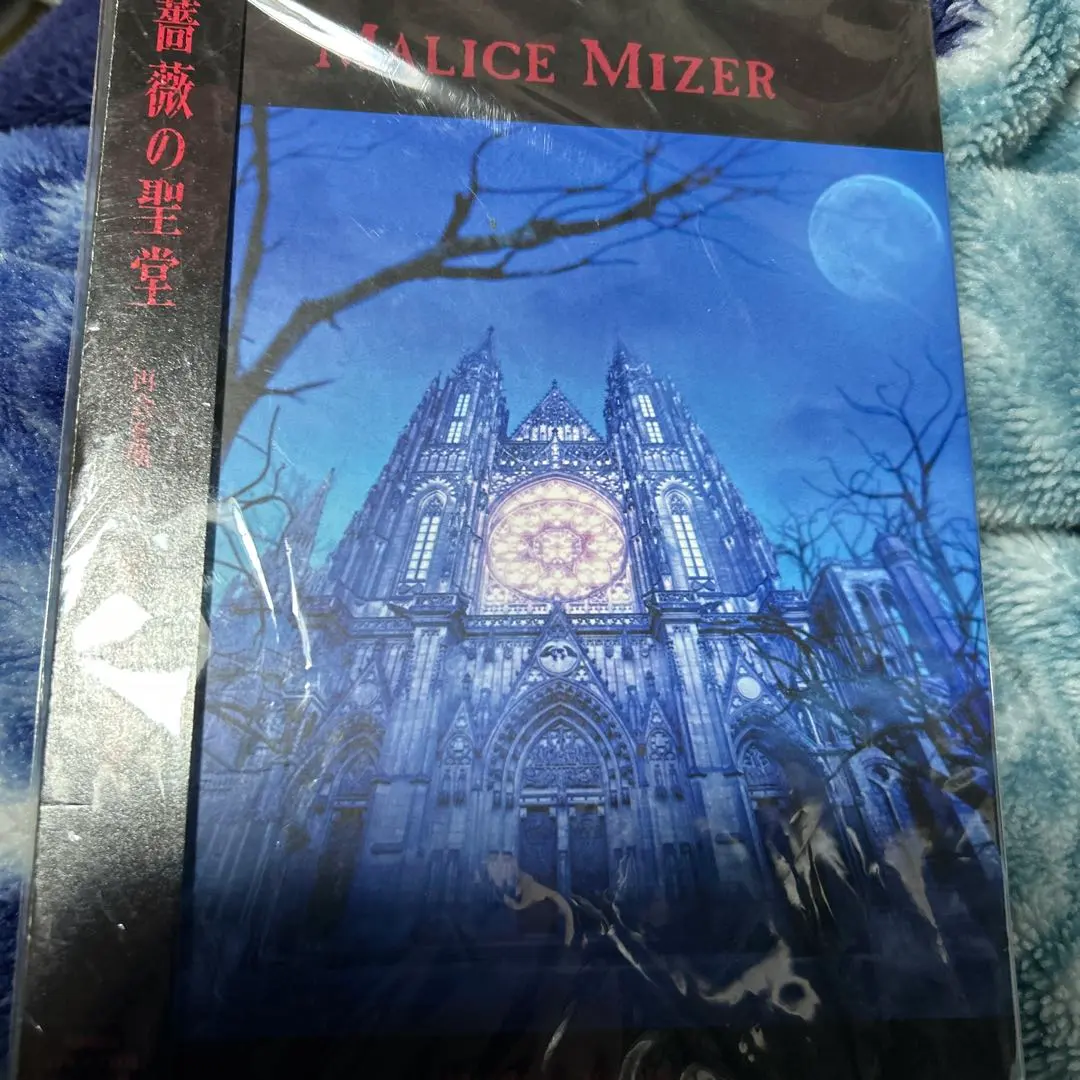 2026年最新】malice mizer 薔薇の聖堂の人気アイテム - メルカリ