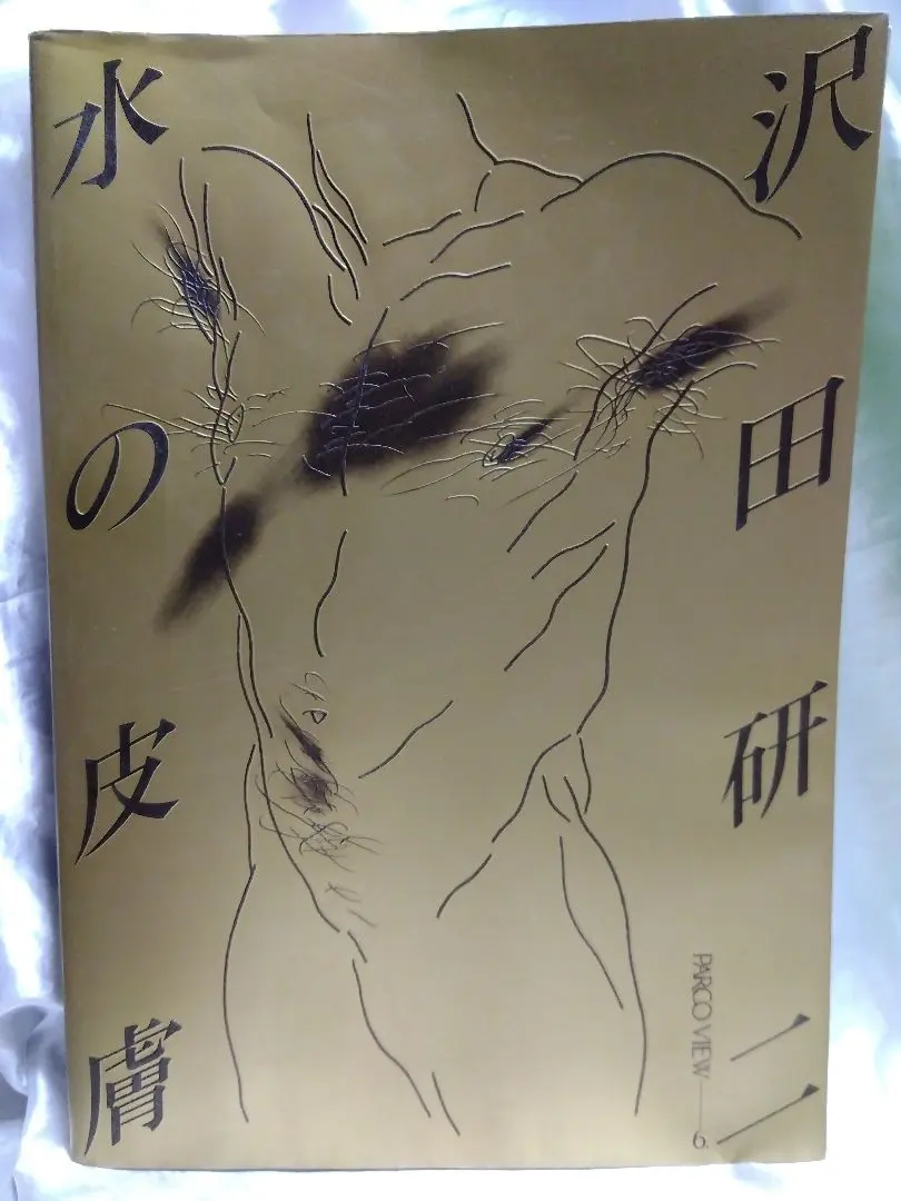 2026年最新】水の皮膚 沢田研二の人気アイテム - メルカリ