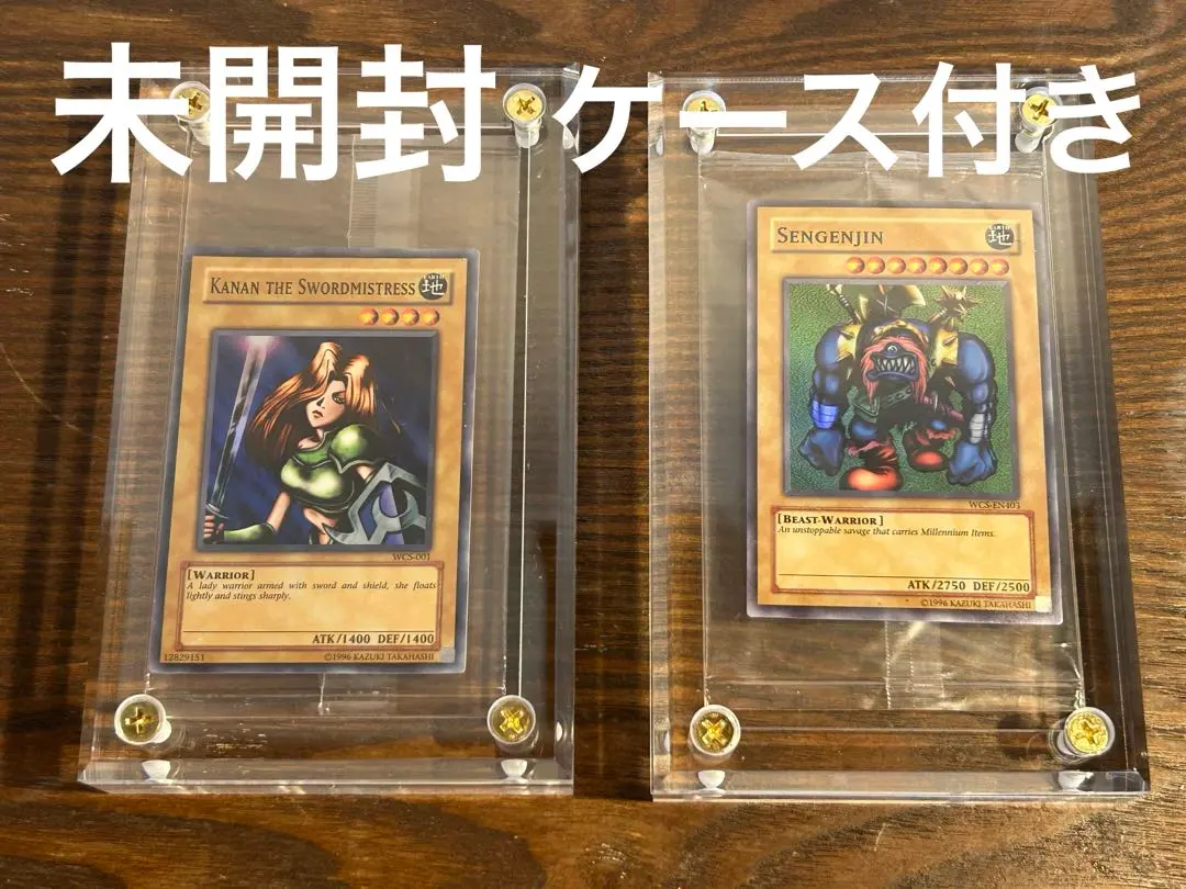 2026年最新】女剣士カナン wcsの人気アイテム - メルカリ