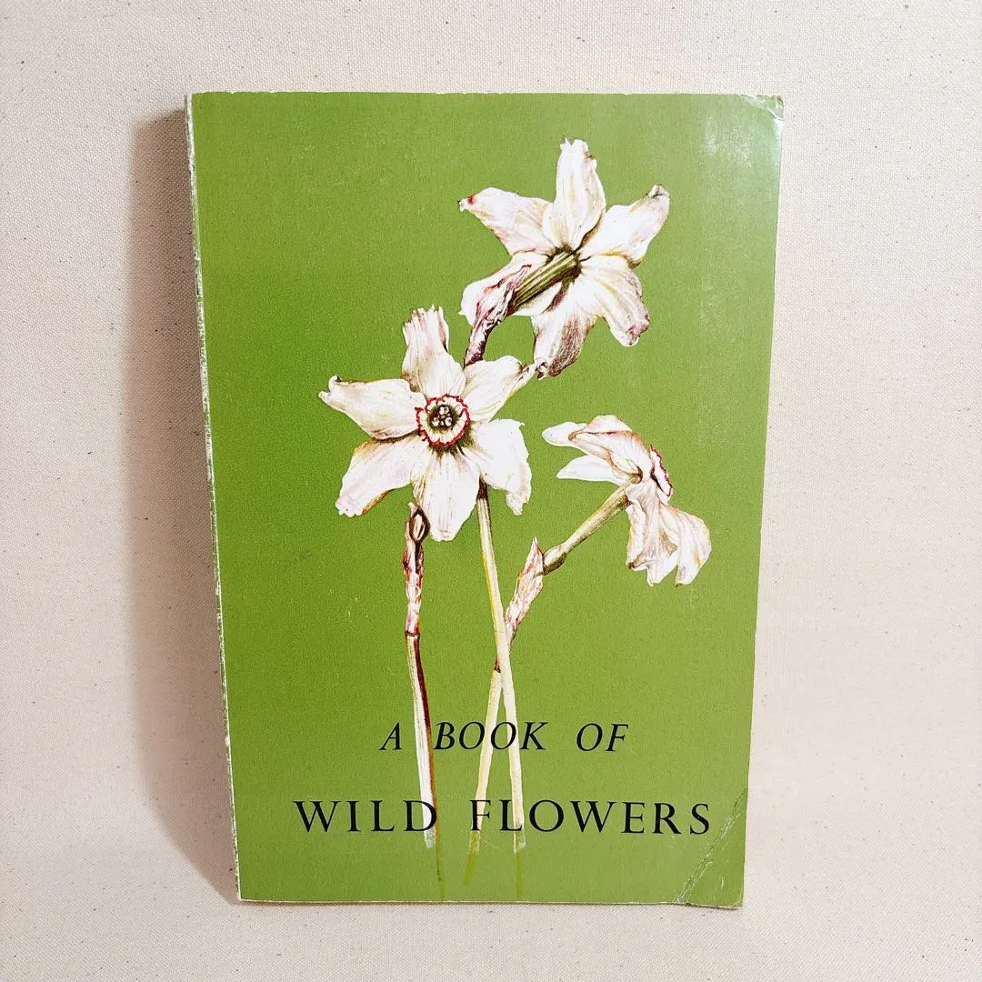 2026年最新】elsa felskoの人気アイテム - メルカリ