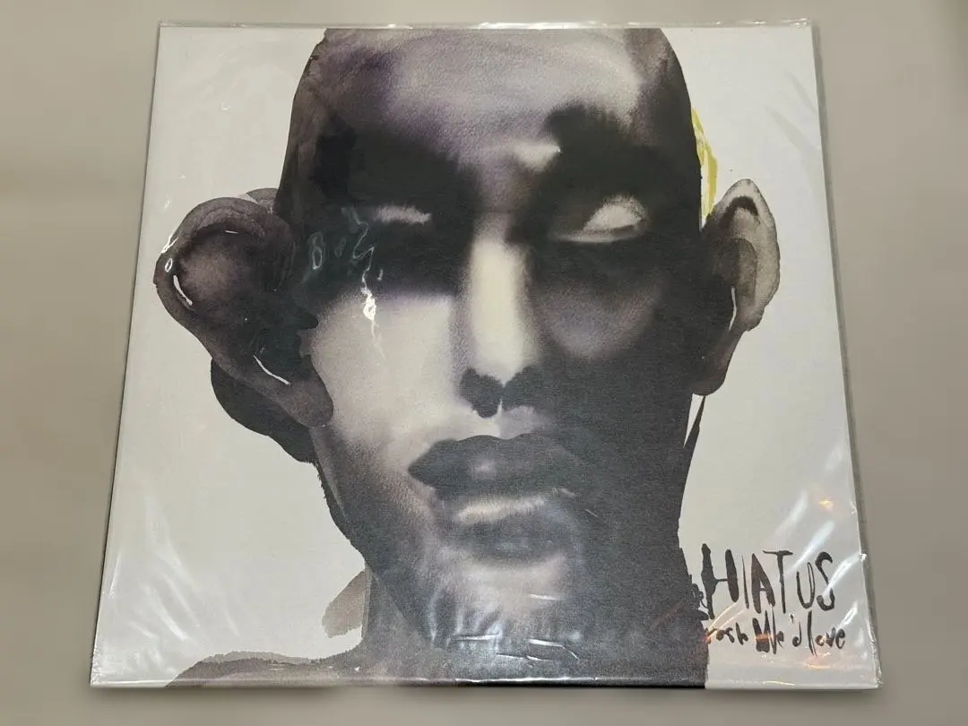 2026年最新】the hiatus レコードの人気アイテム - メルカリ