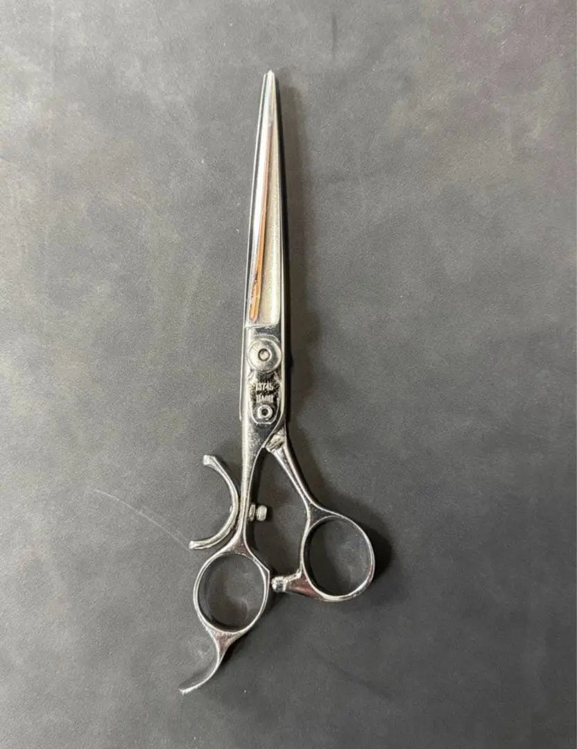 2026年最新】柳生 覇王の人気アイテム - メルカリ