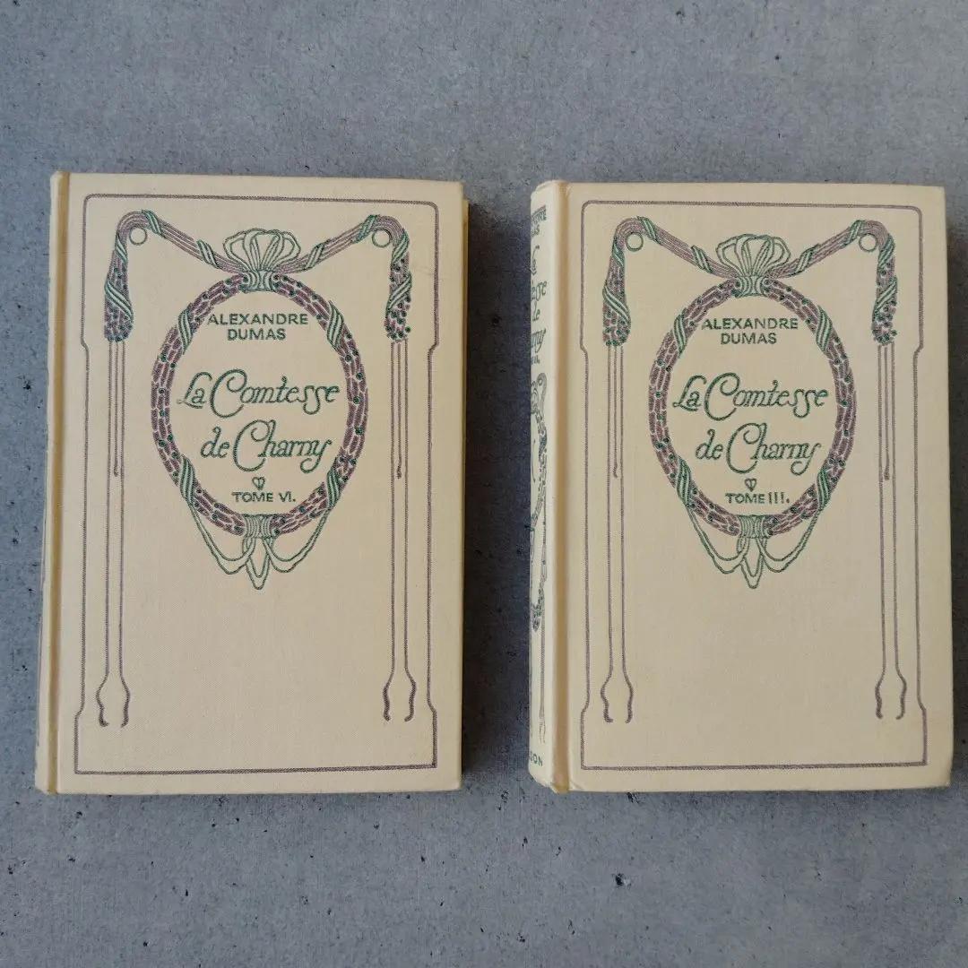 2026年最新】ネルソン 洋書 フランスアンティークの人気アイテム