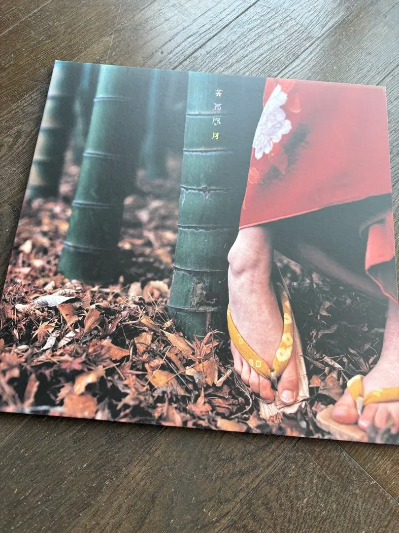 2026年最新】花鳥風月 スピッツ lpの人気アイテム - メルカリ