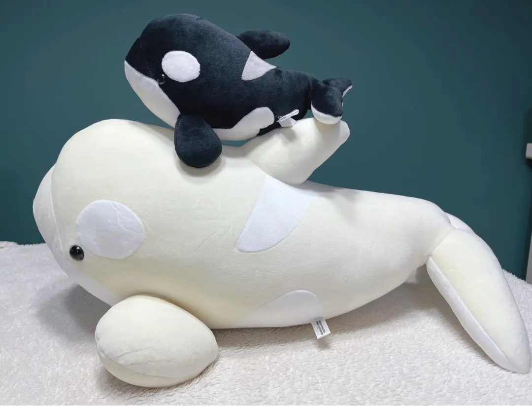 2026年最新】名古屋港水族館 シャチくじの人気アイテム - メルカリ