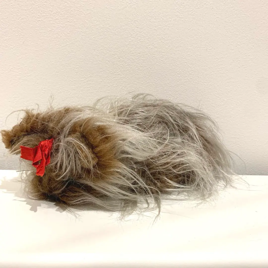 2026年最新】ファインサクセスの人気アイテム - メルカリ