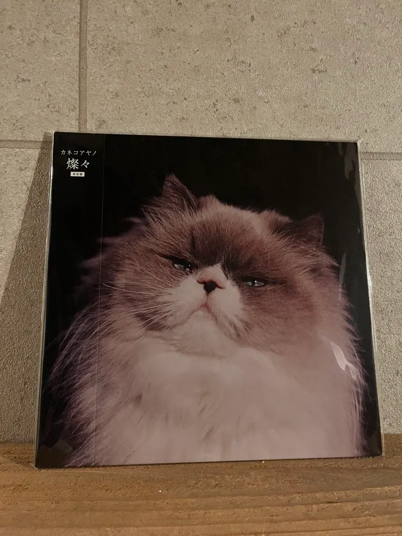 2026年最新】カネコアヤノ レコード 祝祭の人気アイテム - メルカリ