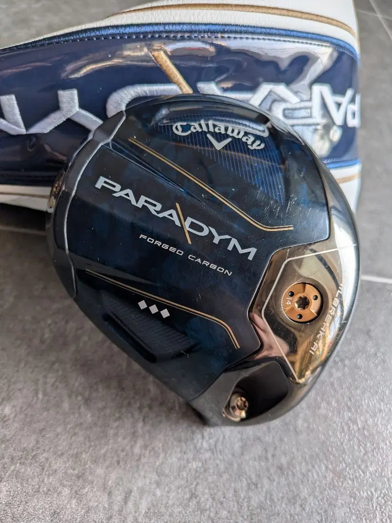 2026年最新】パラダイム トリプルダイヤモンド ドライバー ヘッドのみ