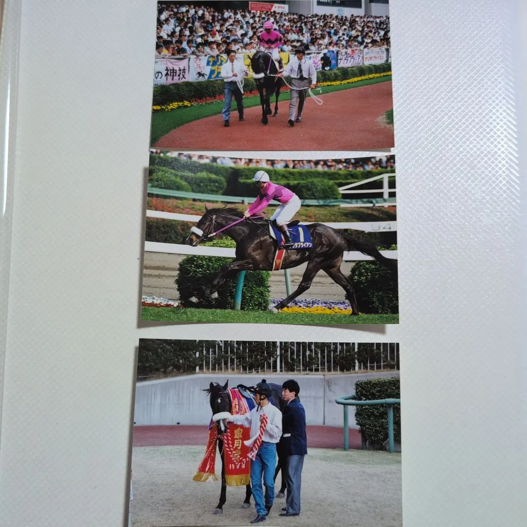 2026年最新】シャドーロールの怪物の人気アイテム - メルカリ