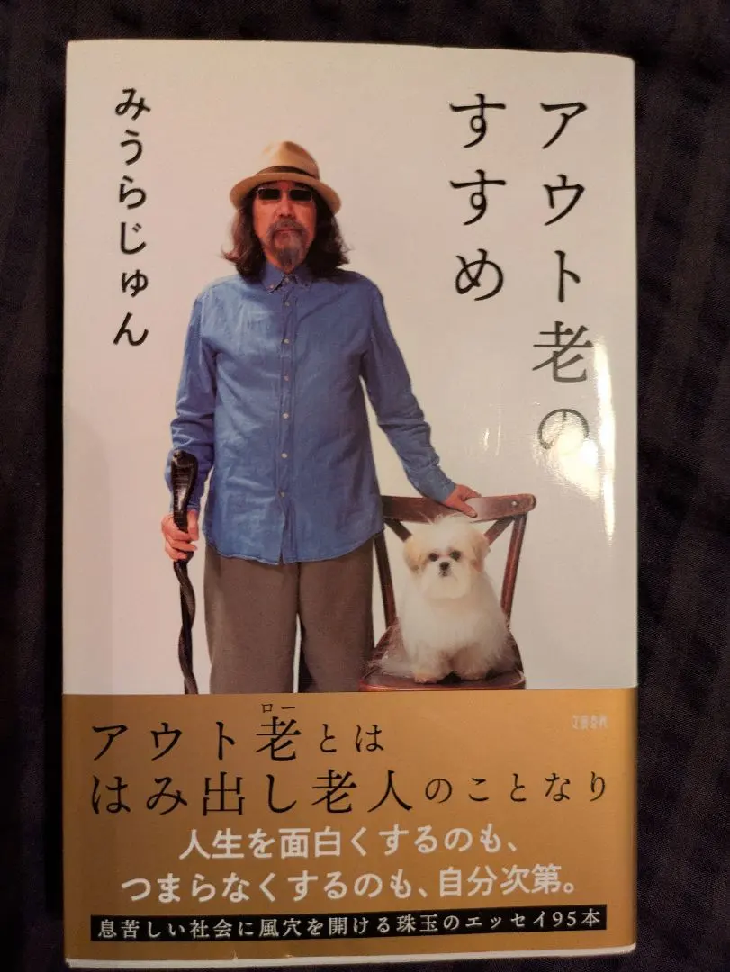 2026年最新】みうらじゅん 帽子の人気アイテム - メルカリ