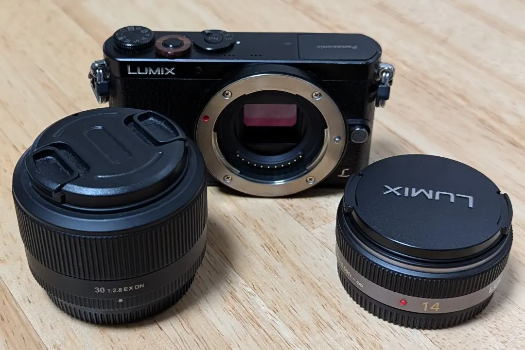 2026年最新】Panasonic LUMIX DMC-GM1の人気アイテム - メルカリ