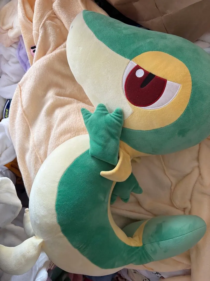 2026年最新】等身大 ツタージャの人気アイテム - メルカリ