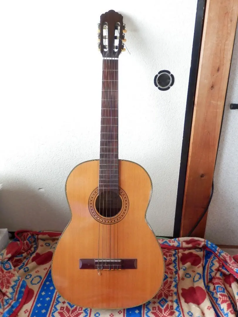 2026年最新】KODAMA アコースティックギターの人気アイテム - メルカリ