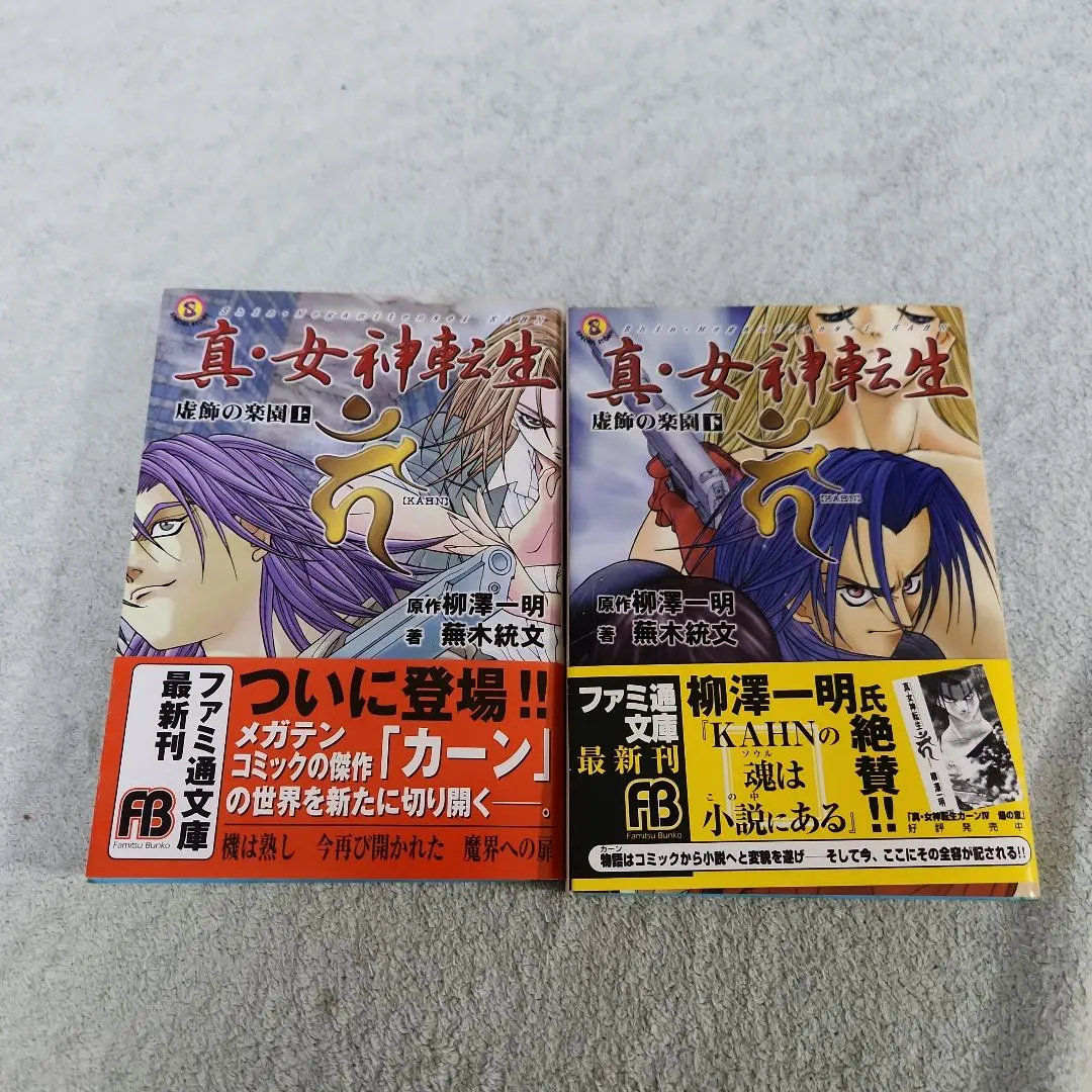 2026年最新】柳沢一明の人気アイテム - メルカリ
