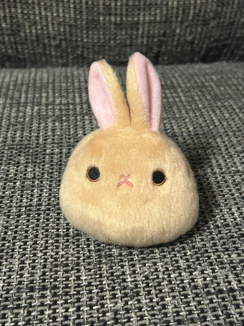 2026年最新】らびだんごの人気アイテム - メルカリ